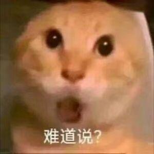 增增瓦噶奶