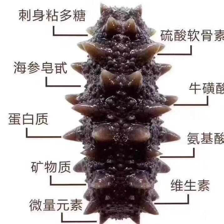 杨磊
