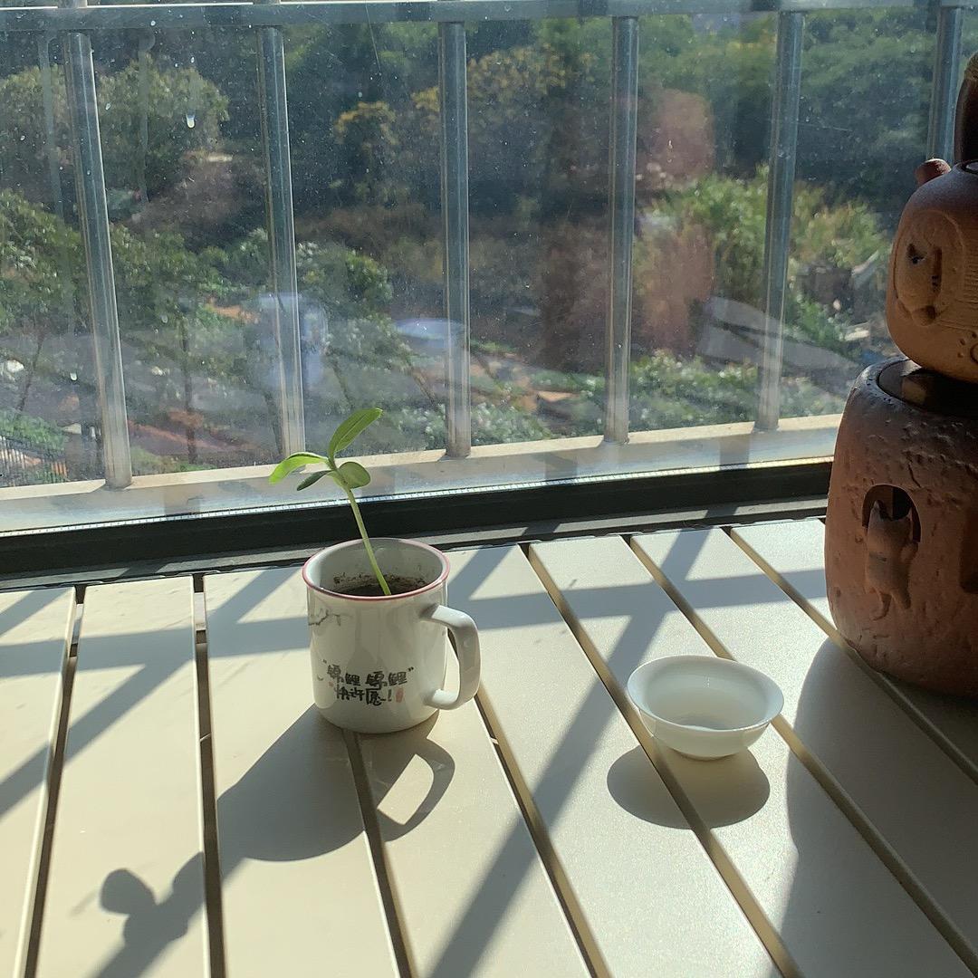 原酋