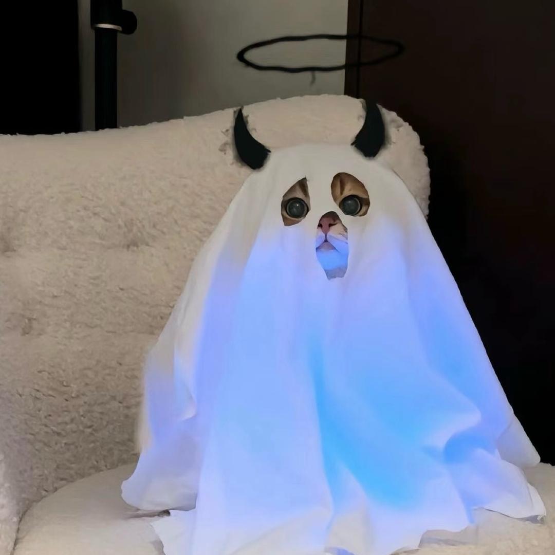 睡不着的黑眼圈0.0