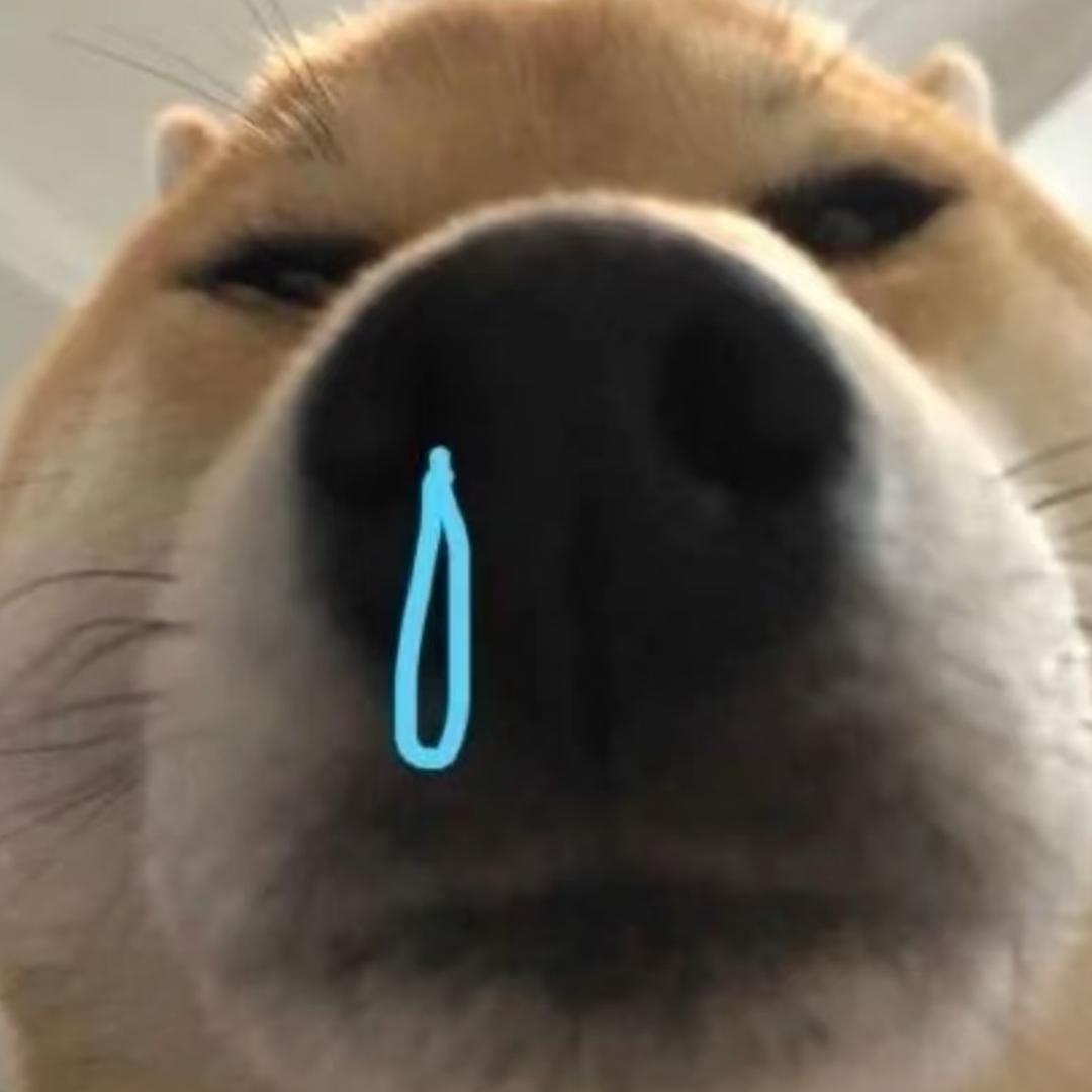 差点帅死自己.