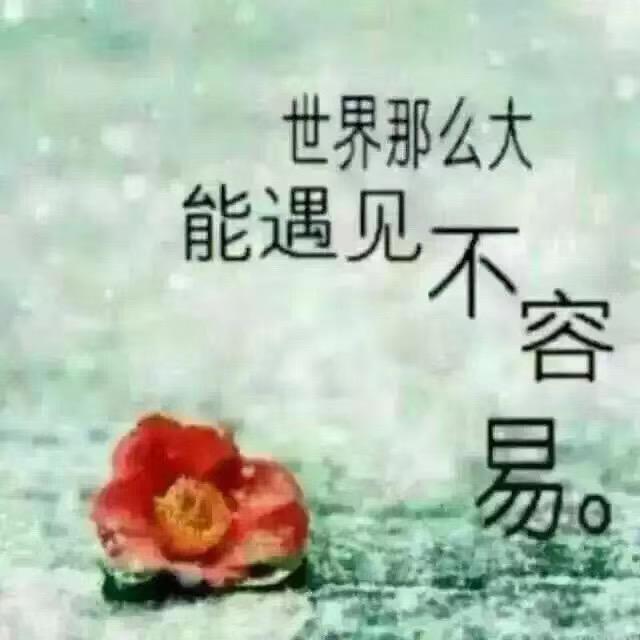 雪儿、