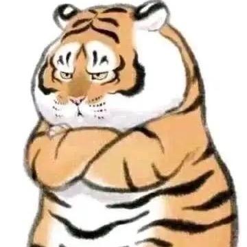镇的住🫧