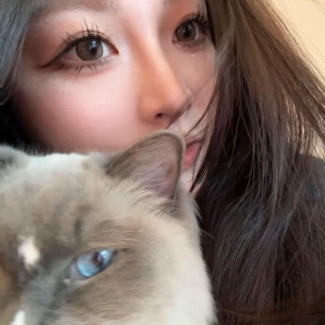 猫咪主宰我头像