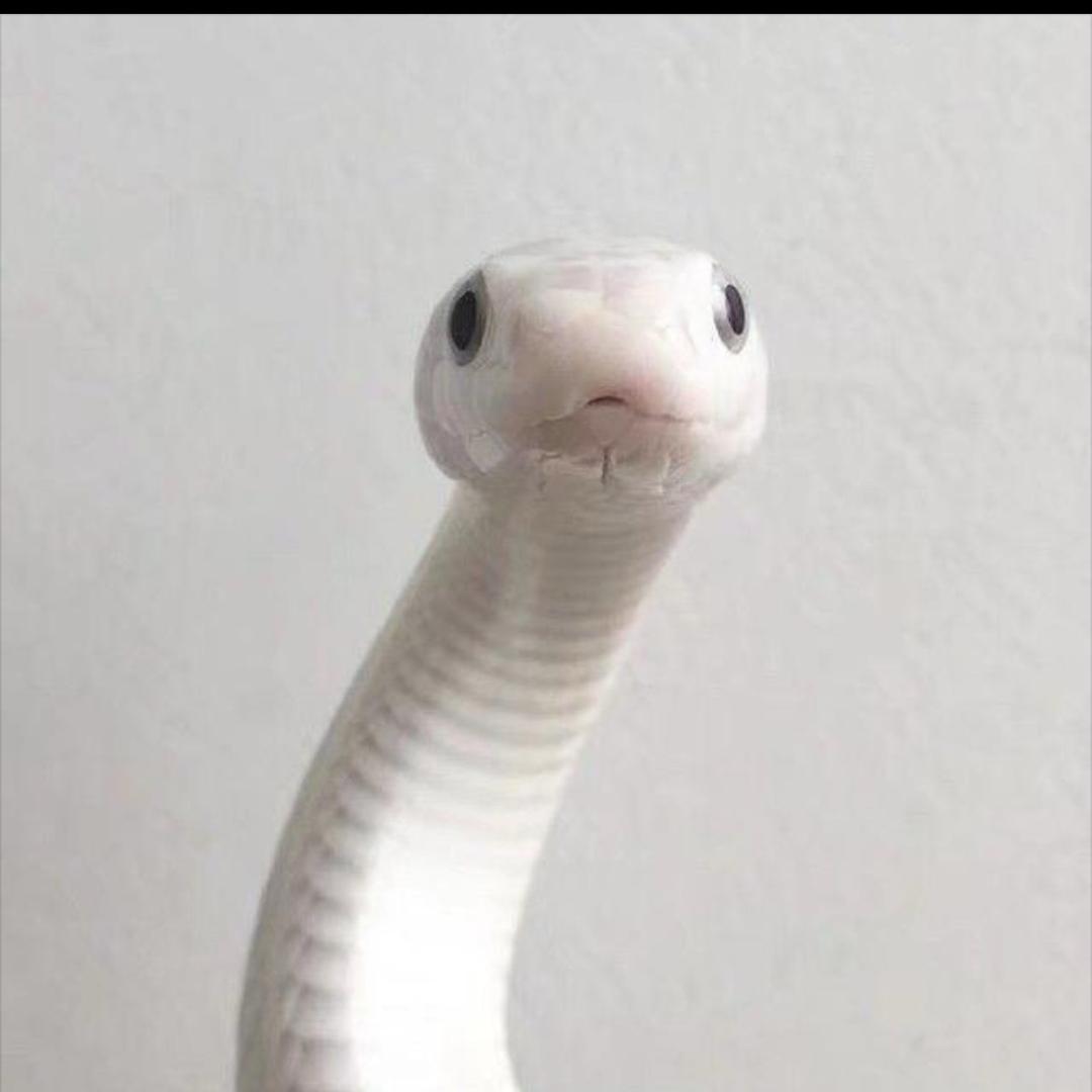 小刘同学.🏍️