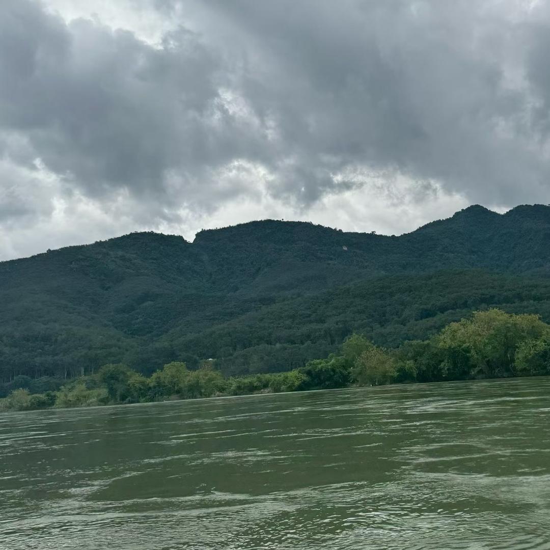 提灯巡梦易时惜