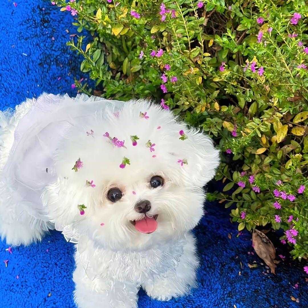 Nov.5(见过陈奕迅2次版)