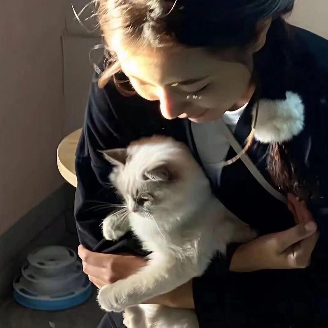 发什么呆