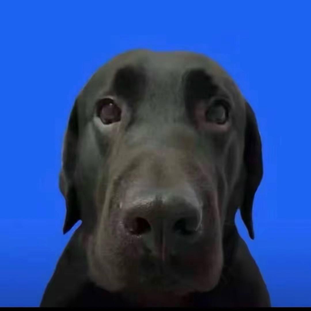 吃啥呢给我来口