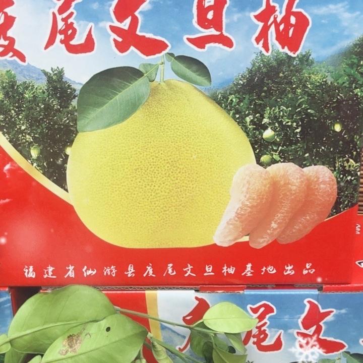 莆仙度尾正宗文旦柚