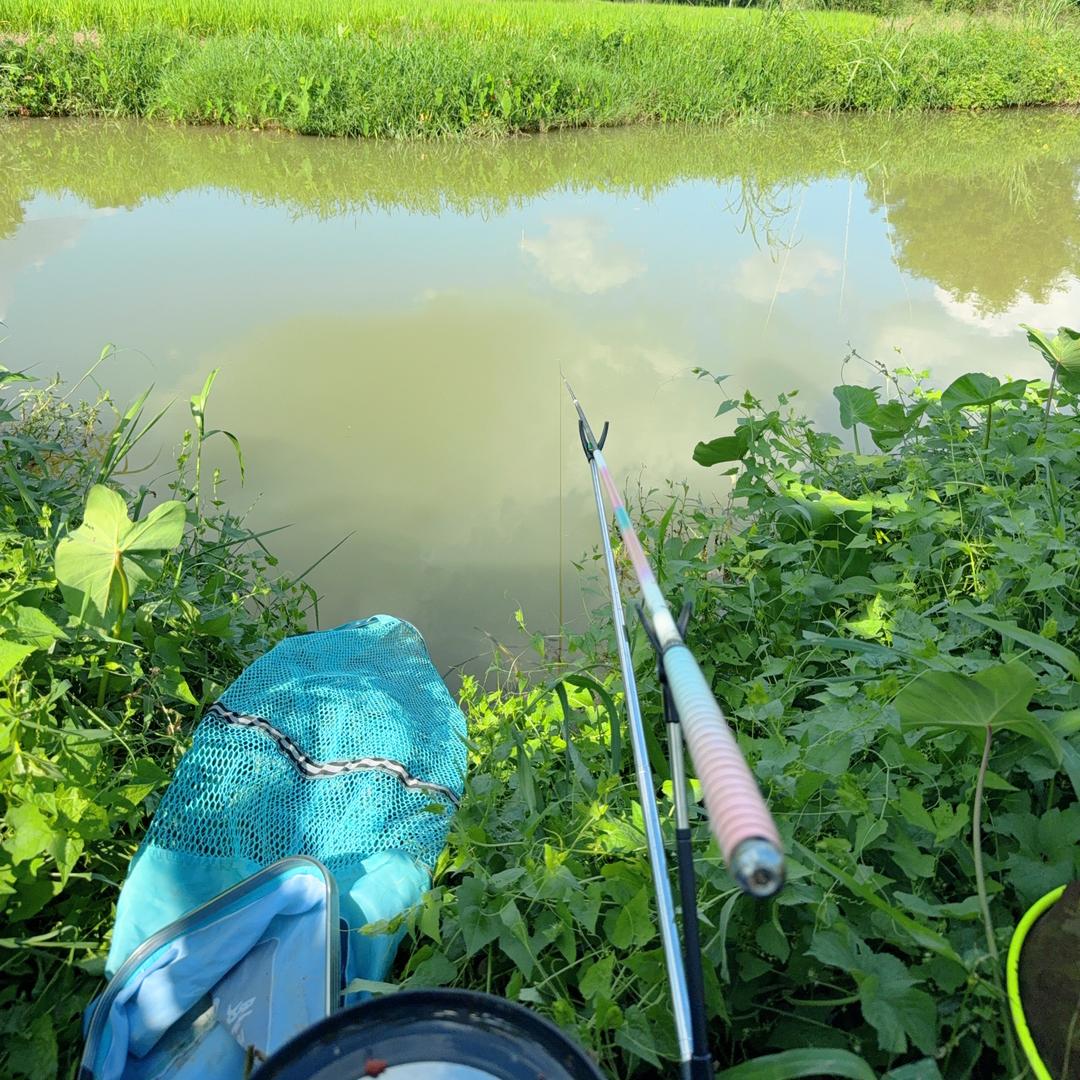 机车🏍️钓手🎣阿捷