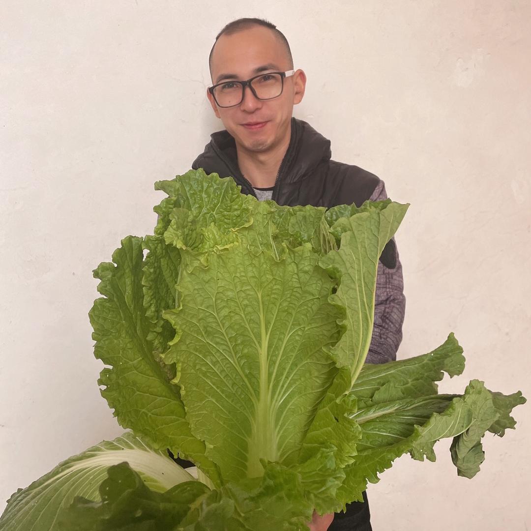 聆听者……