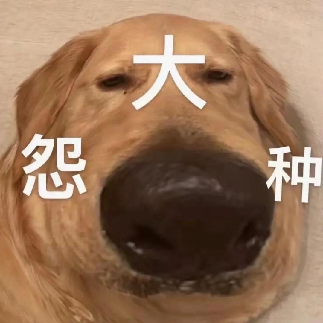 都滚