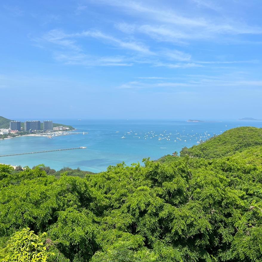 小桃子姐
