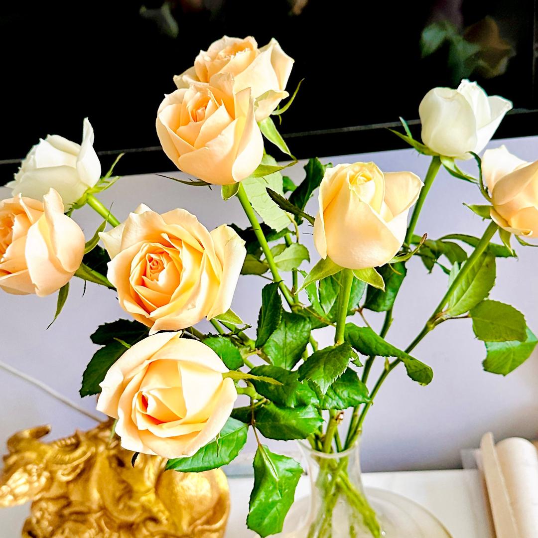 ༺ཎཽཾ丫头妹ནཽཾ༻（川渔人家）