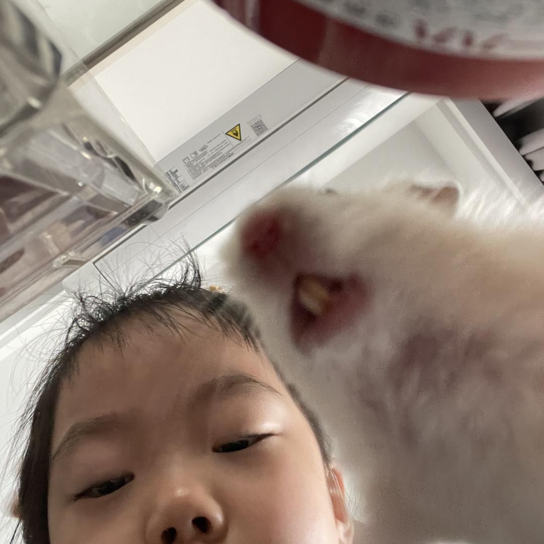 嫦娥小兔子🐰
