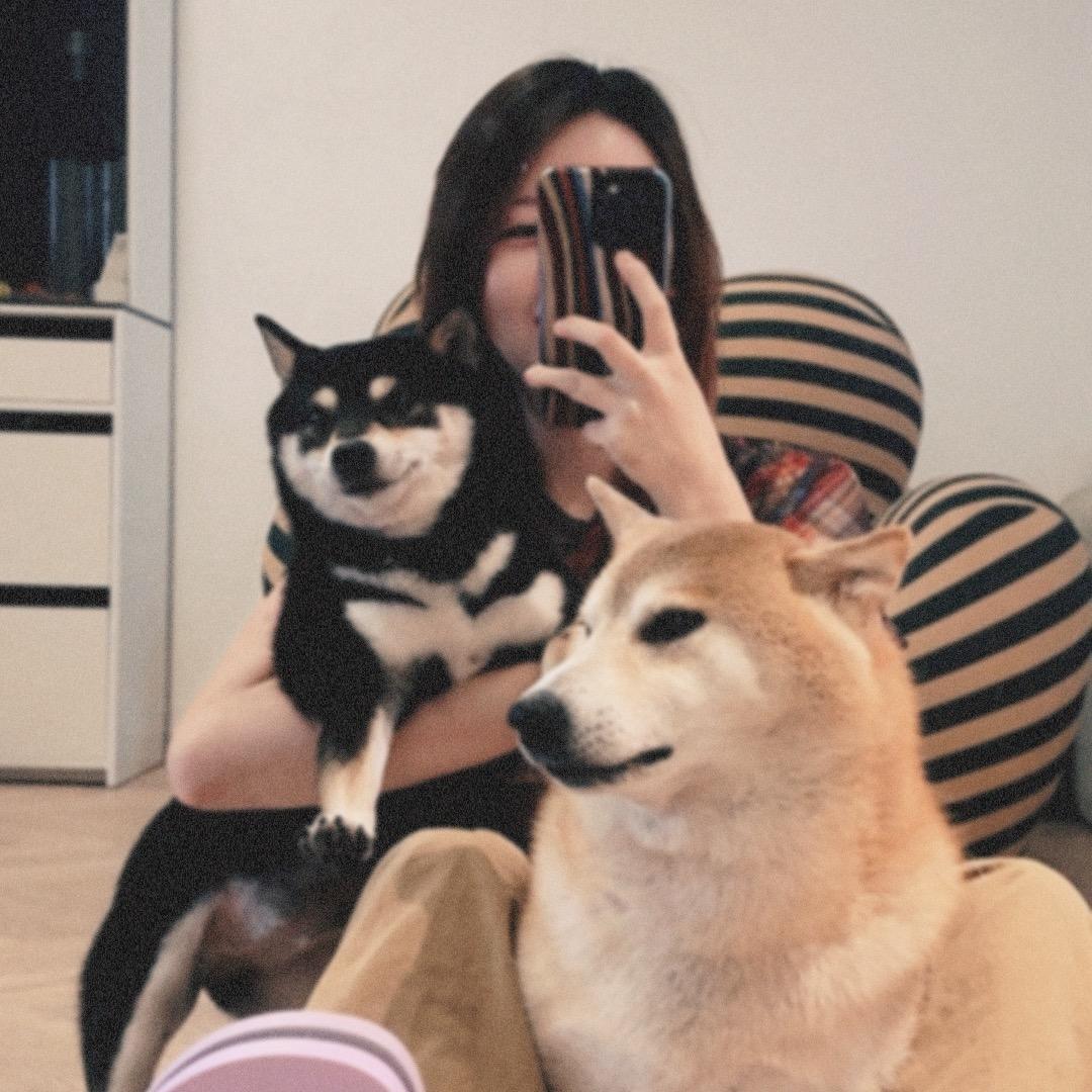 柴犬火锅底料