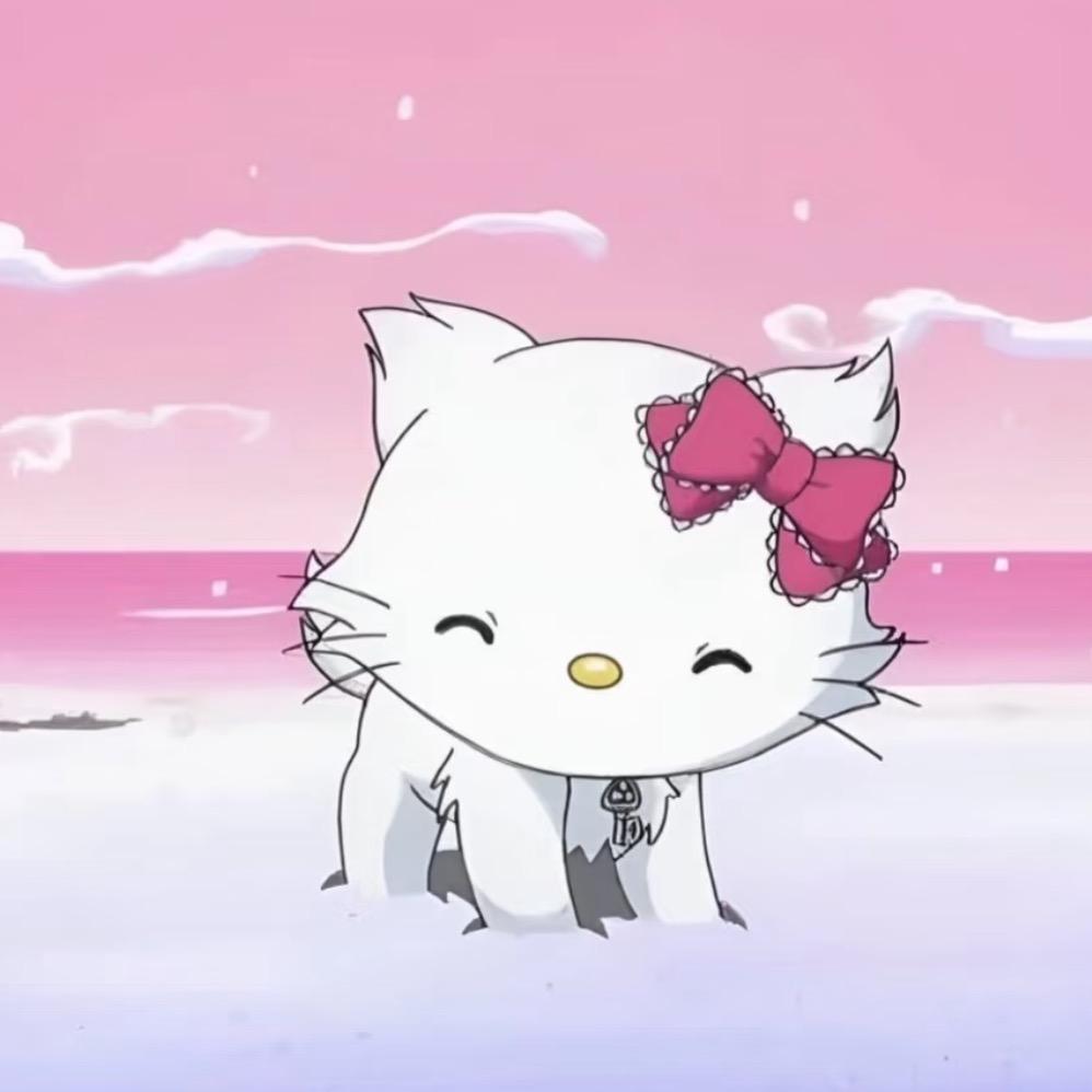 cioon