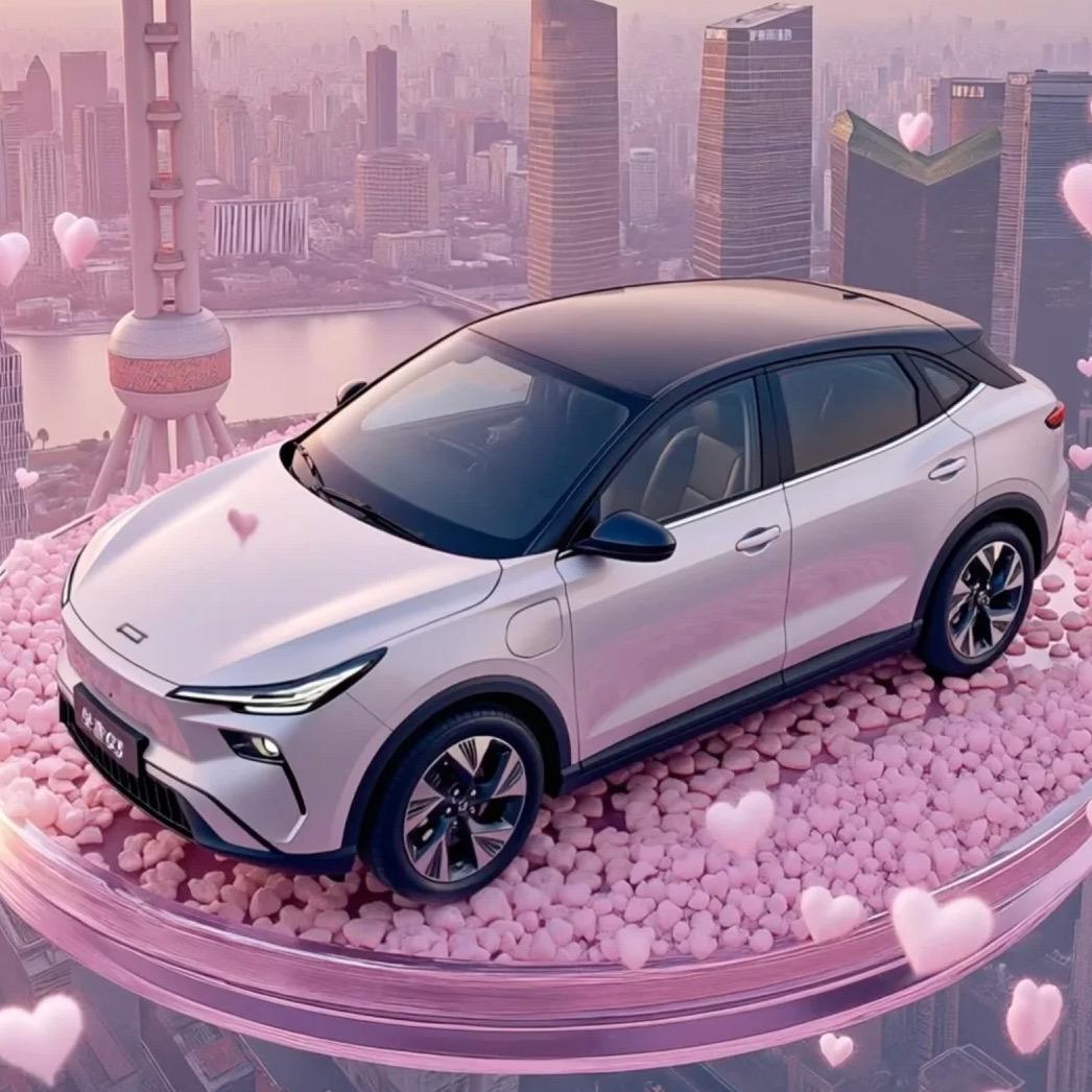 安徽贺兴汽车销售有限公司