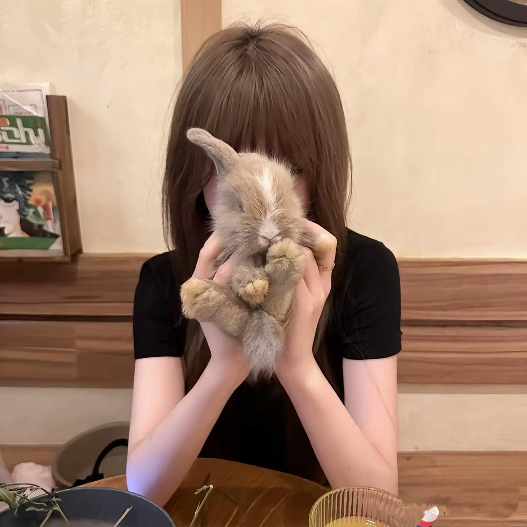 maimai🌱