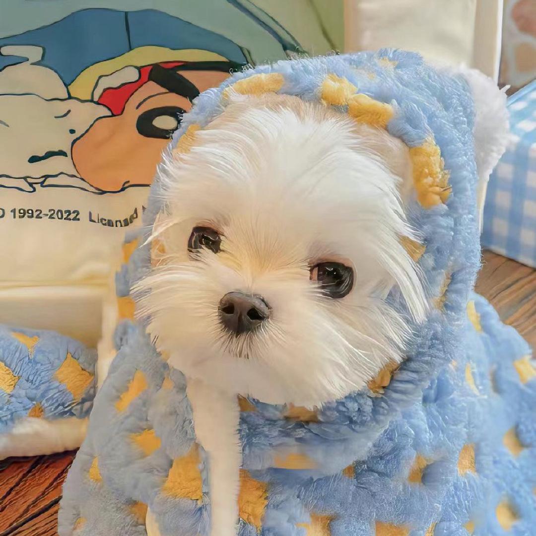 吃番茄长大的圣女果