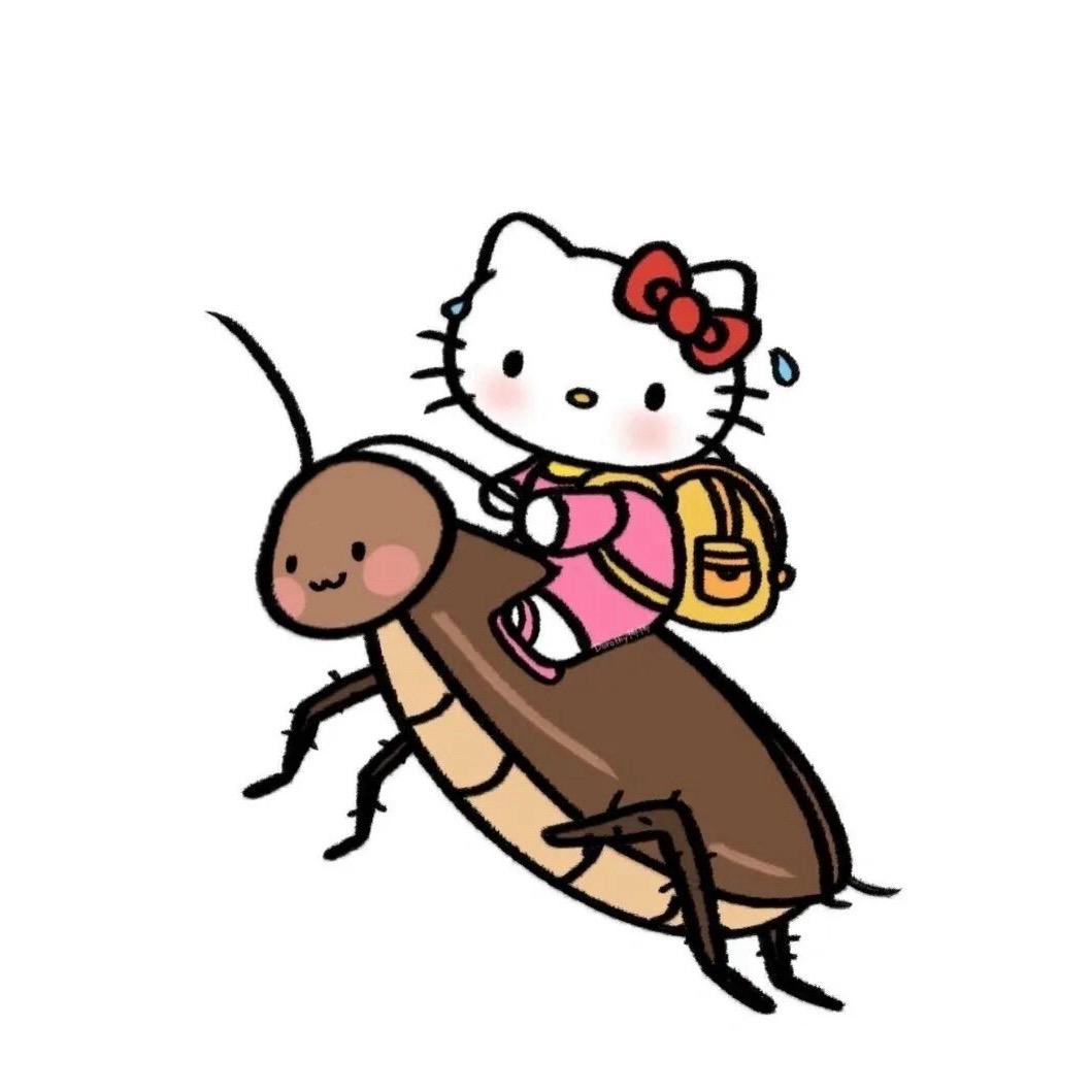 皮蛋solo粥