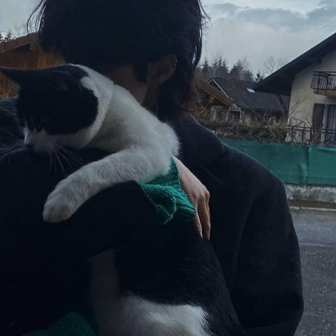谢雁