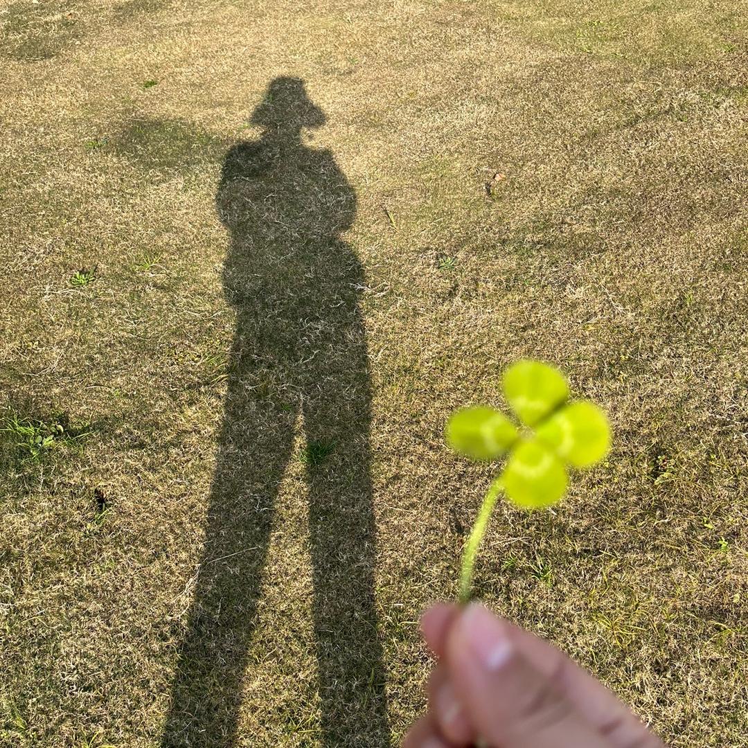 白羊座的妞