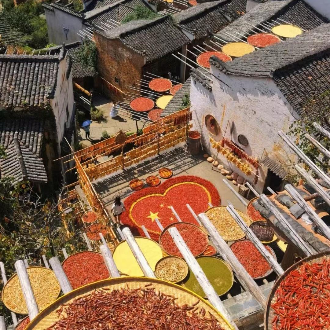 粉红薄荷 理罗尔