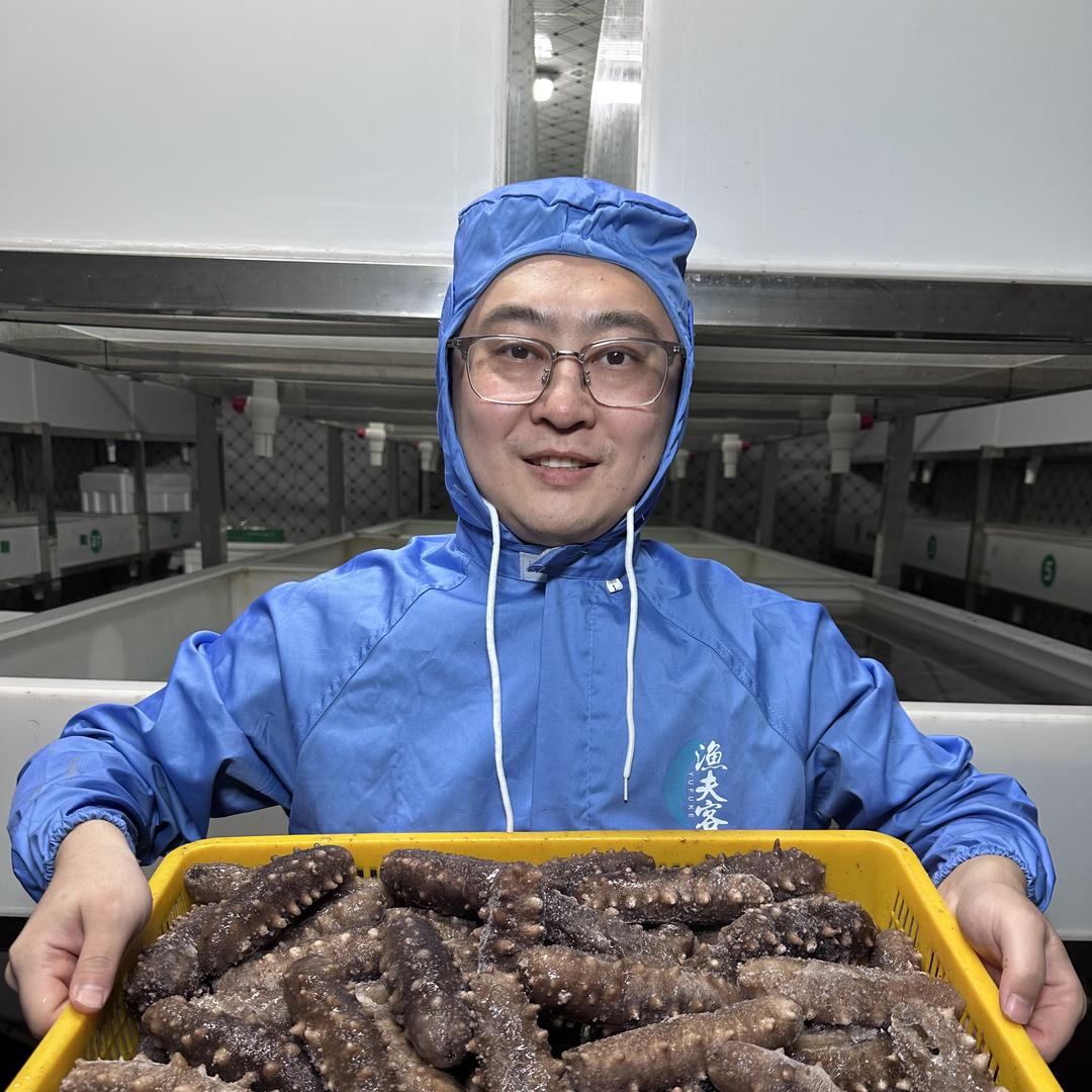 三鲜岛海参