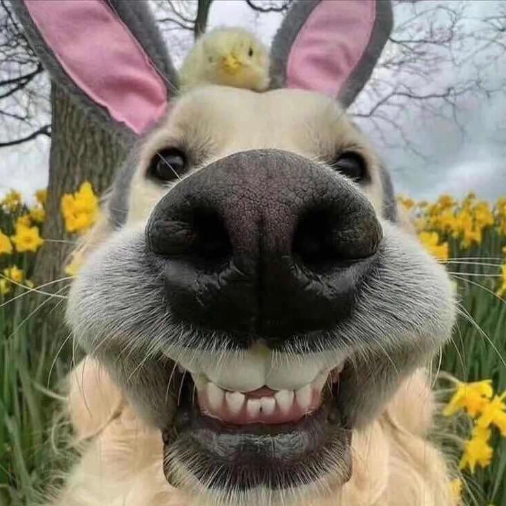 南安长在洱海边