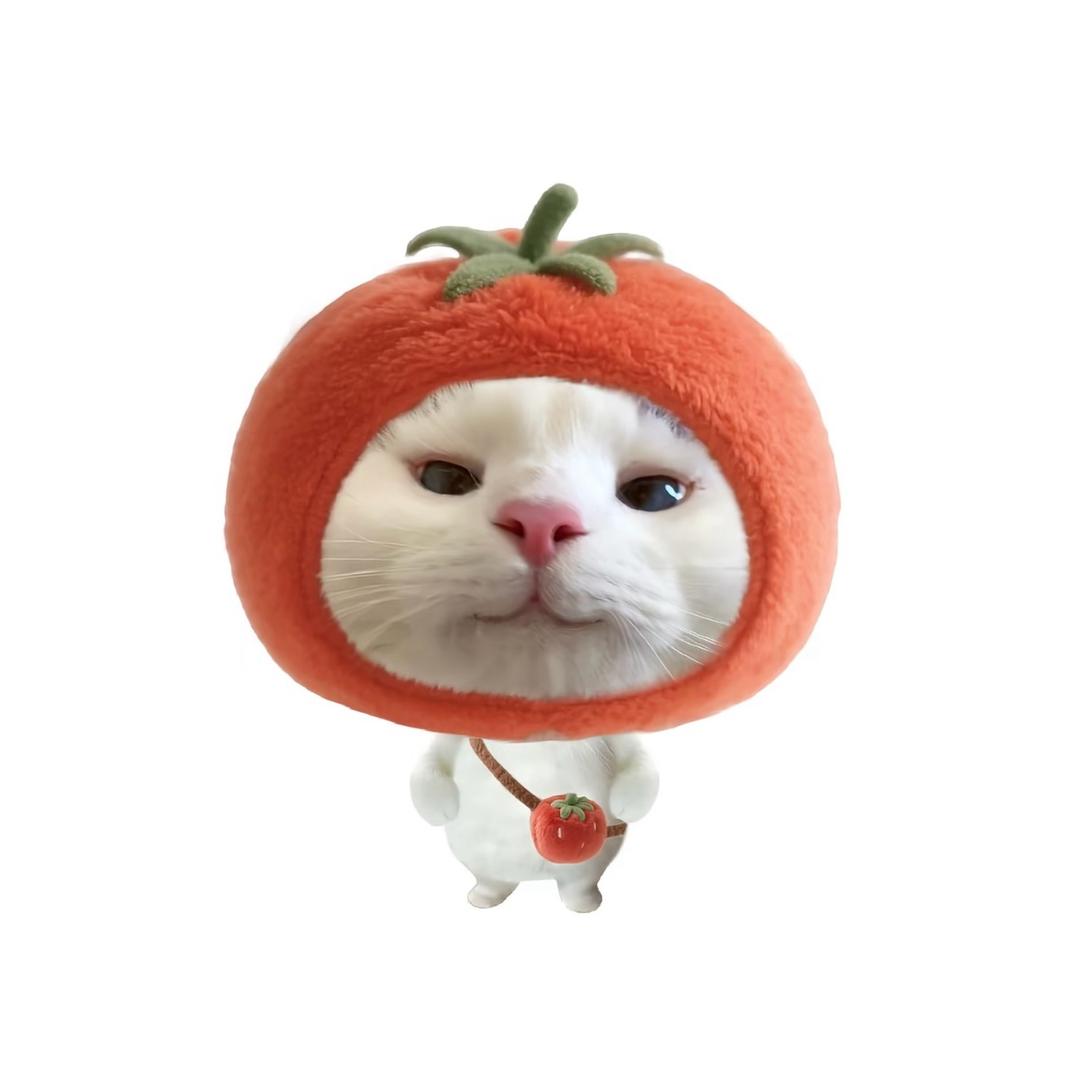 圓圓