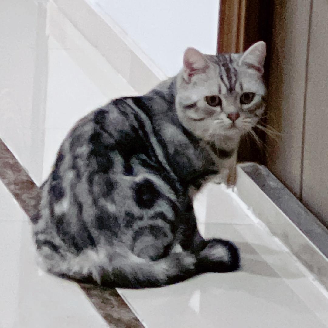 翛然