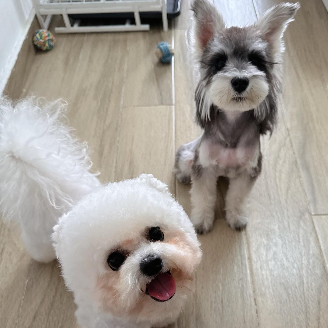 纯洁女汉纸