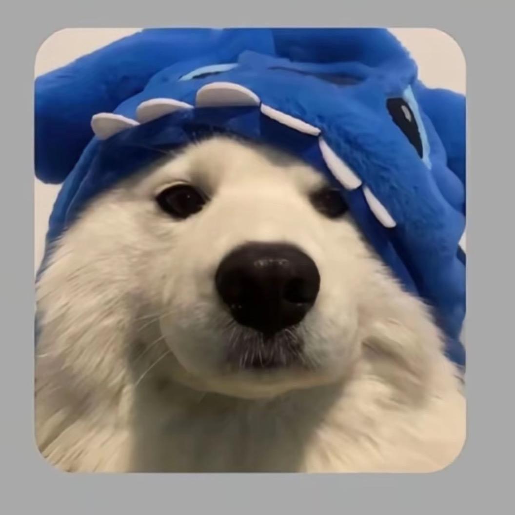 🦲