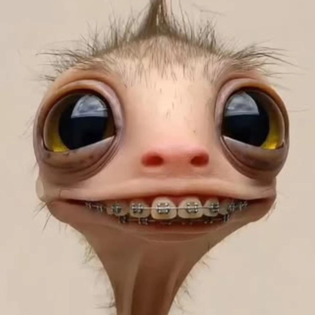 钢牙王美丽