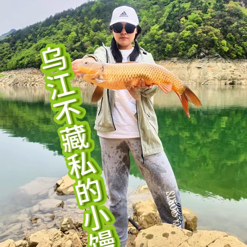 小王景