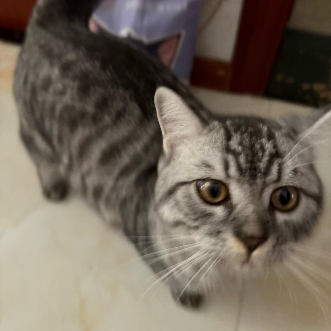 汤姆宝宝！！！