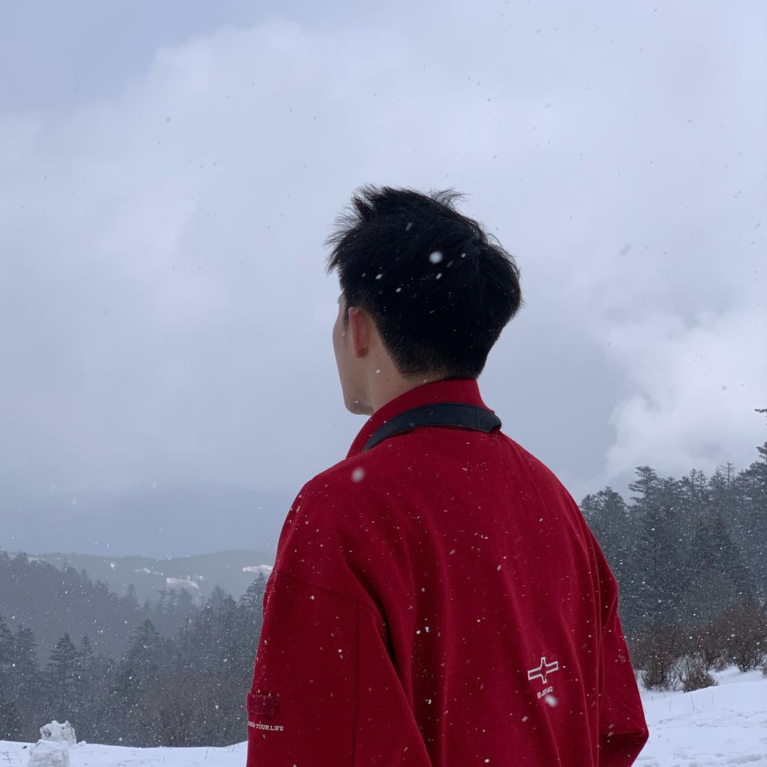 云逸的爬宠日记