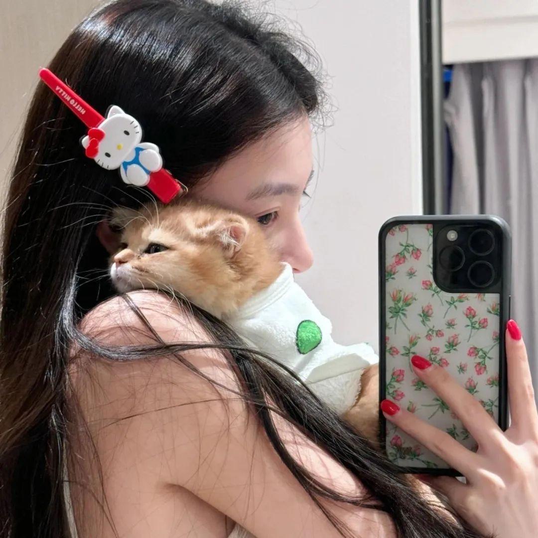 凌宝
