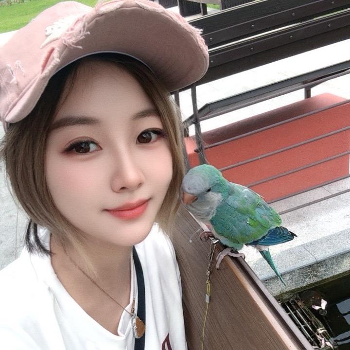 琴子在台湾