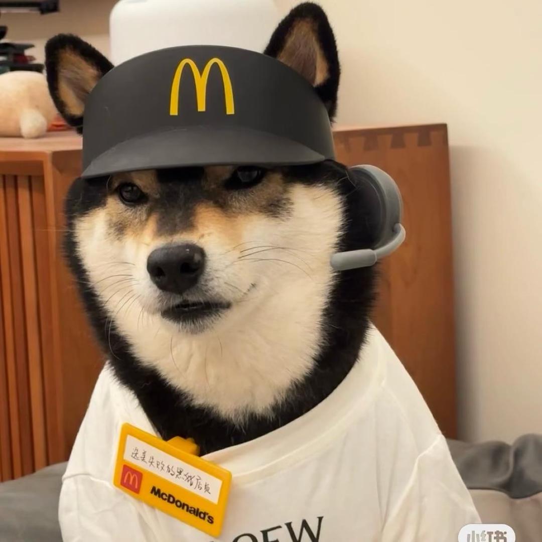 浩浩想吃饱🍔