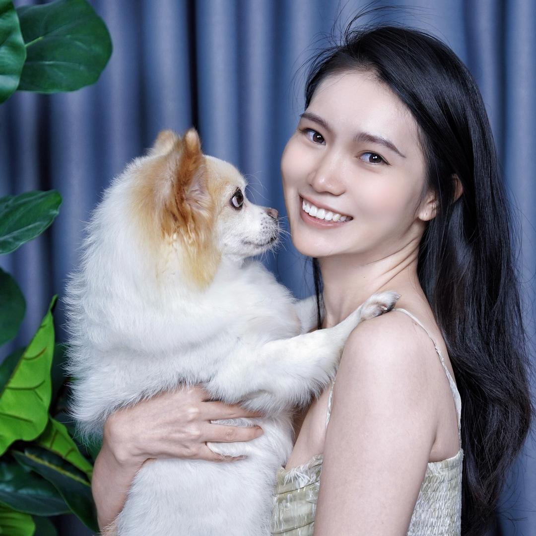 我的小狗叫黄蛋蛋