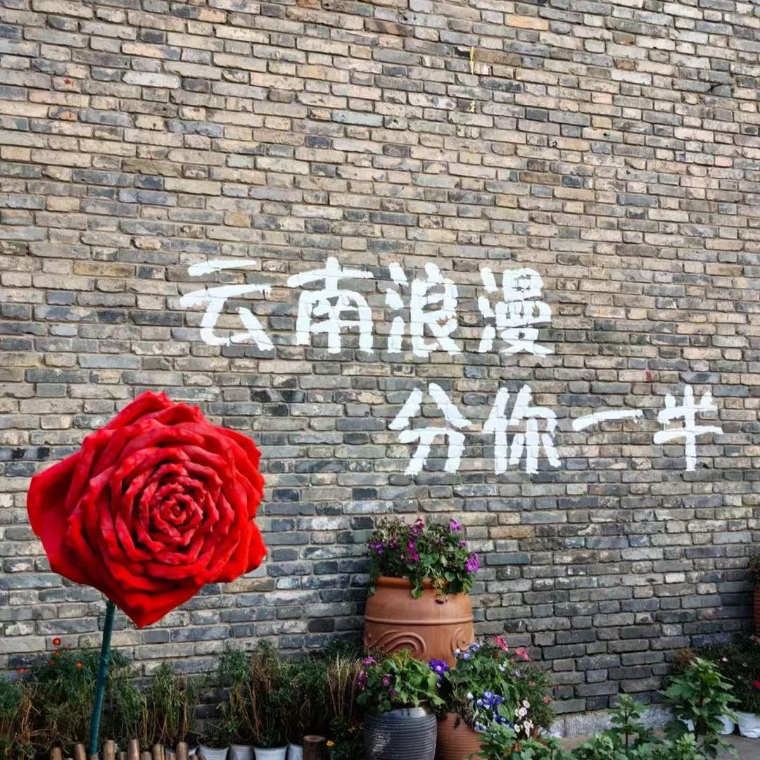 云南特种作业考证咨询