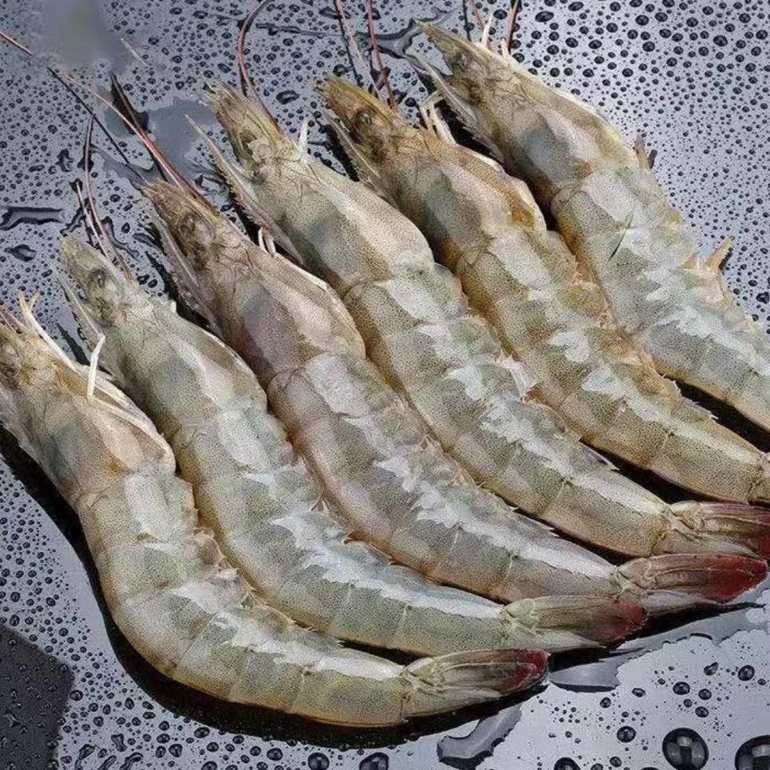 玲姐海鲜批发
