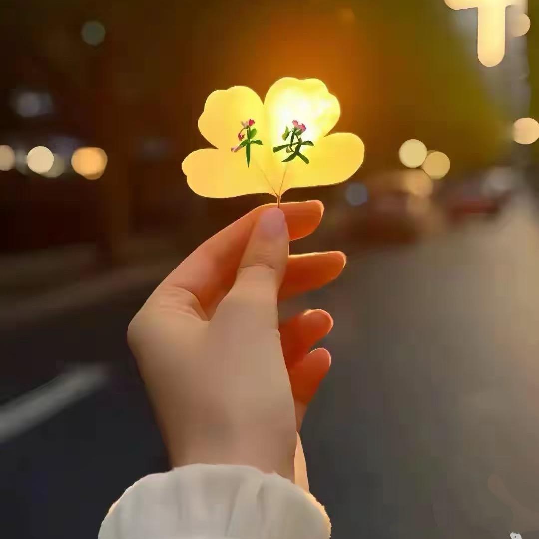 兮兮爱运动