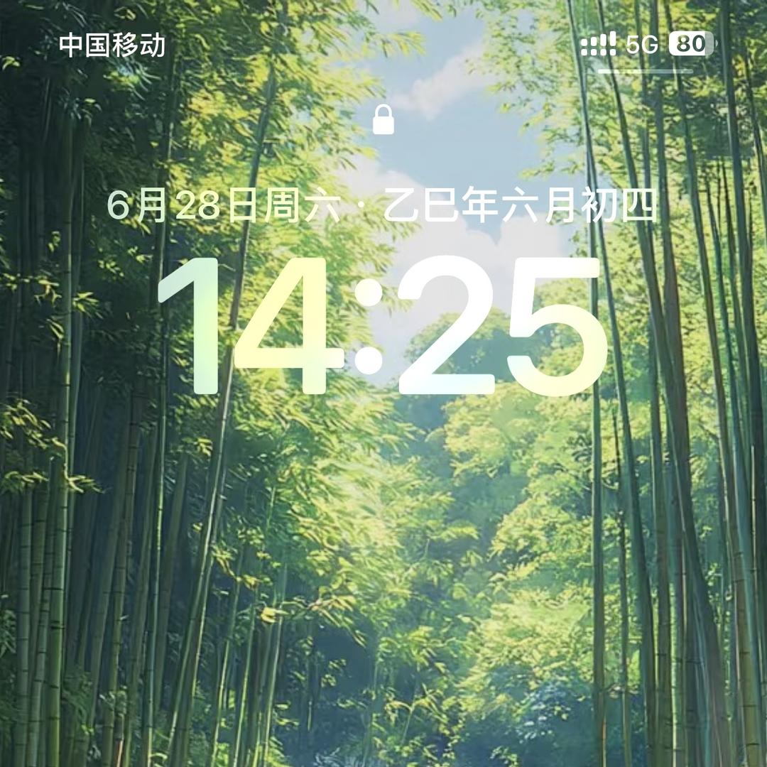 苏一珠宝翡翠贰号