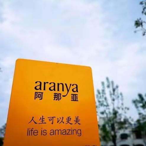正念的力量