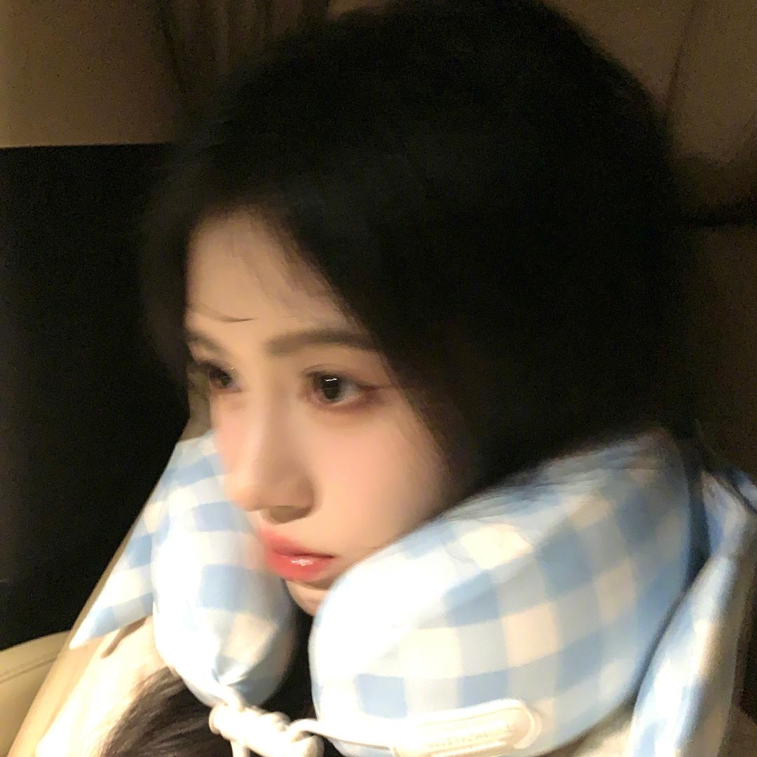 鞠Aria头像