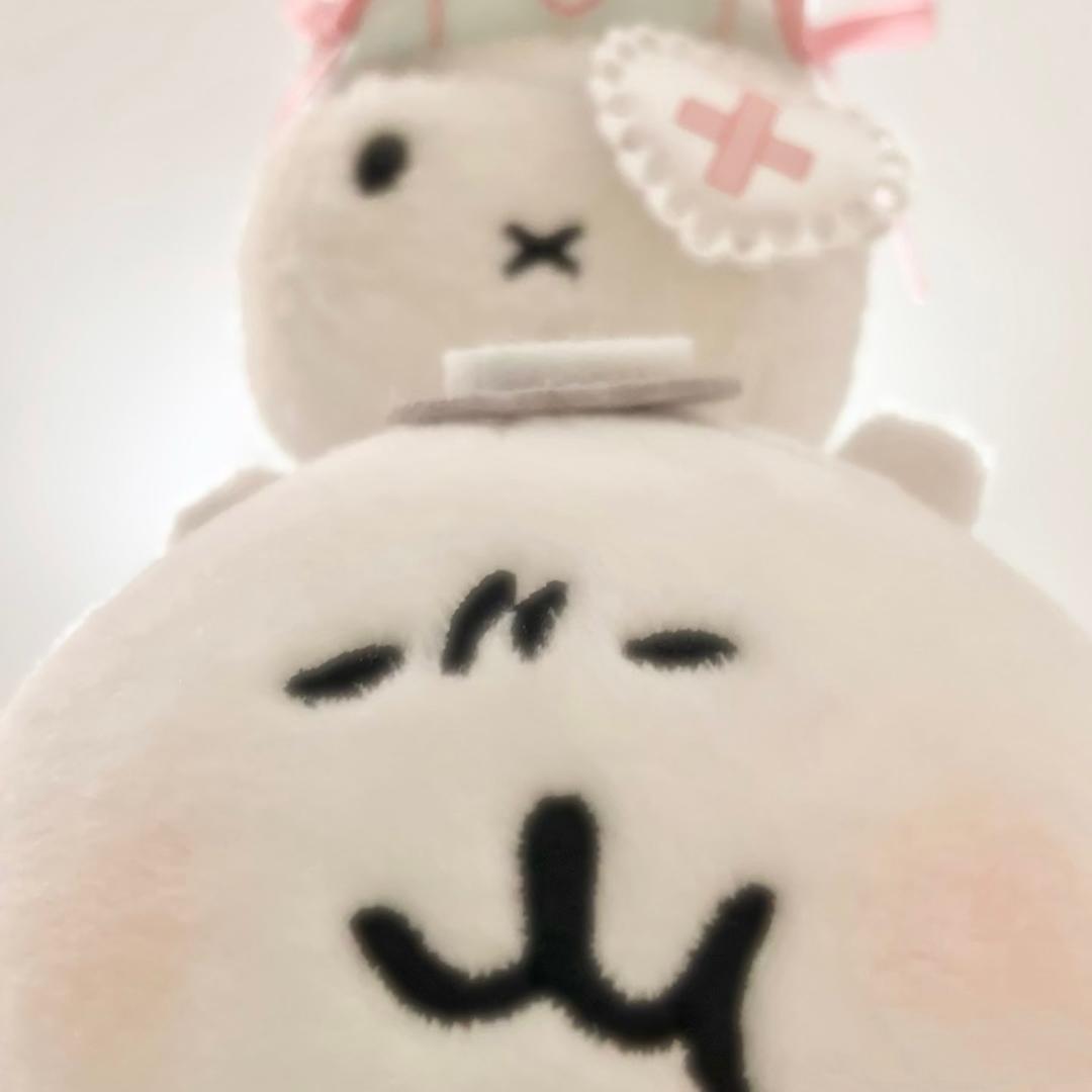 晴天兔芽